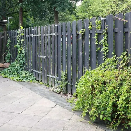 Robin-s-nest نيبورغ